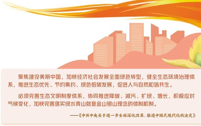 深化改革驱动全面绿色转型