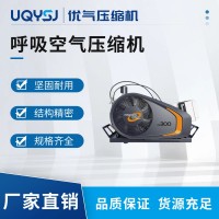 BAUER德国宝华呼吸空气压缩机 PE-TB/PE-TE空气呼吸器充气泵