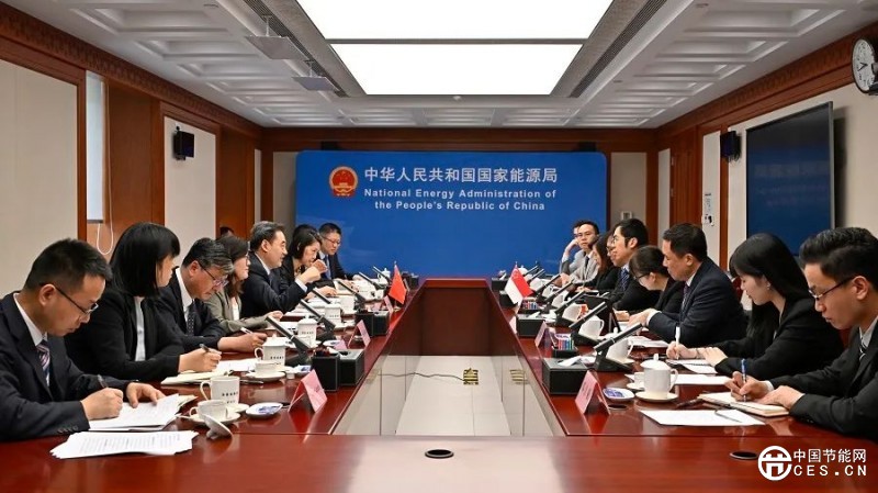 国家能源局主要负责人会见新加坡能源市场管理局局长