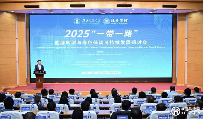 深化绿色合作 中外专家研讨共商“一带一路”能源转型