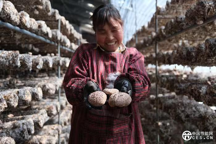 中国乡村探索低碳发展路径 构建可持续未来