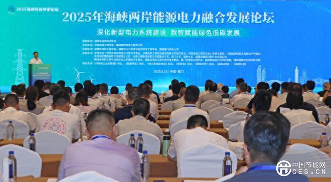 两岸专家学者探“电”：数智技术为能源电力装上“新引擎”