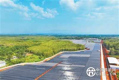 能源绿色转型 中印尼合作新亮点