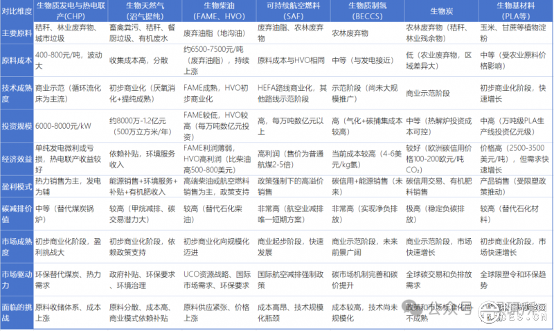 分析生物质能源的真实价值与挑战