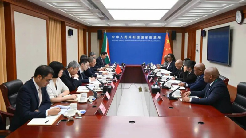 国家能源局负责人会见南非电力和能源部部长