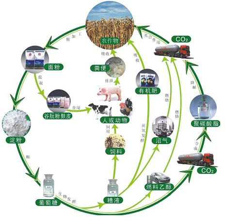 能源局：我国将加强和规范生物质发电管理