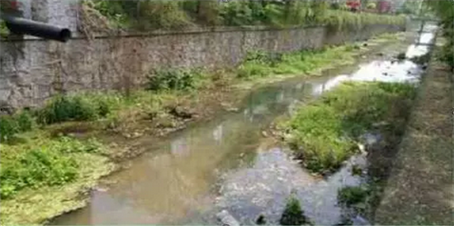 隐龙路纳污渠现状
