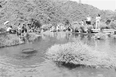 图为位于湖北省十堰市张湾区黄龙镇的黄龙电厂人工湿地，如画的美景吸引大批游客前来参观。