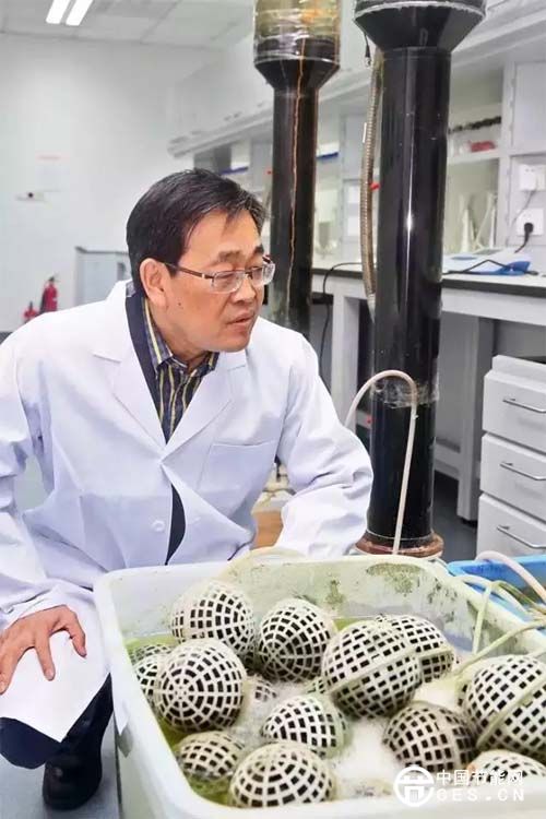 网友昵称：时清海宴网