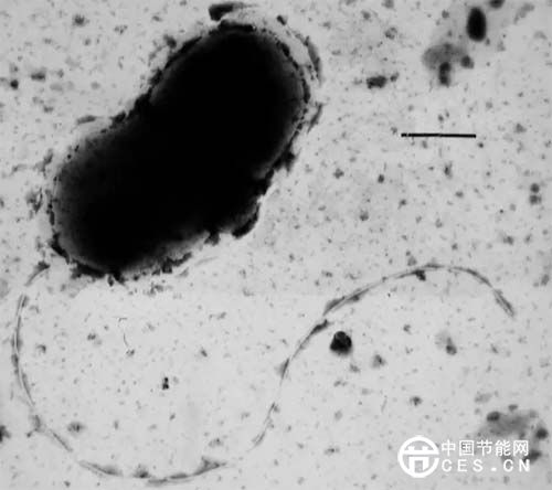 网友昵称：一泓讲运营