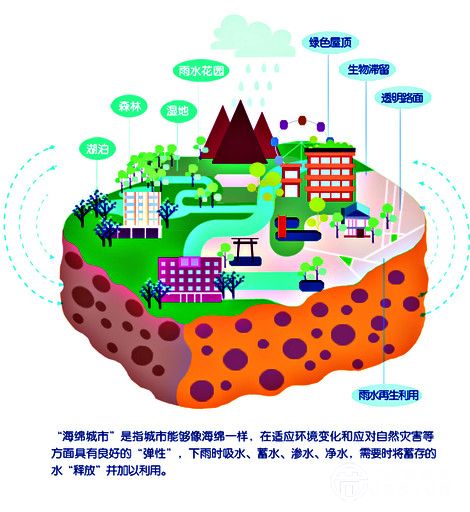 建海绵城需要科学论证 市岂能单靠基建硬干