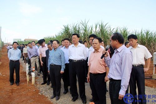 参观甘蔗种植示范基地