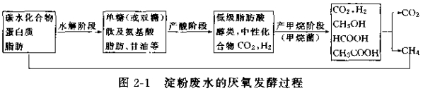 淀粉废水的厌氧发酵过程