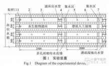 组合生态系统去除农村生活污水中氮磷效果研究